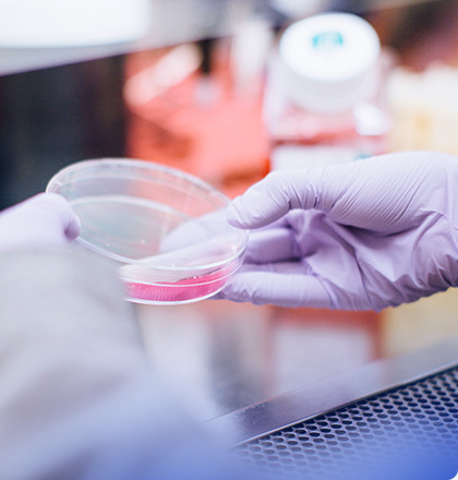 深圳cmmi认证机构